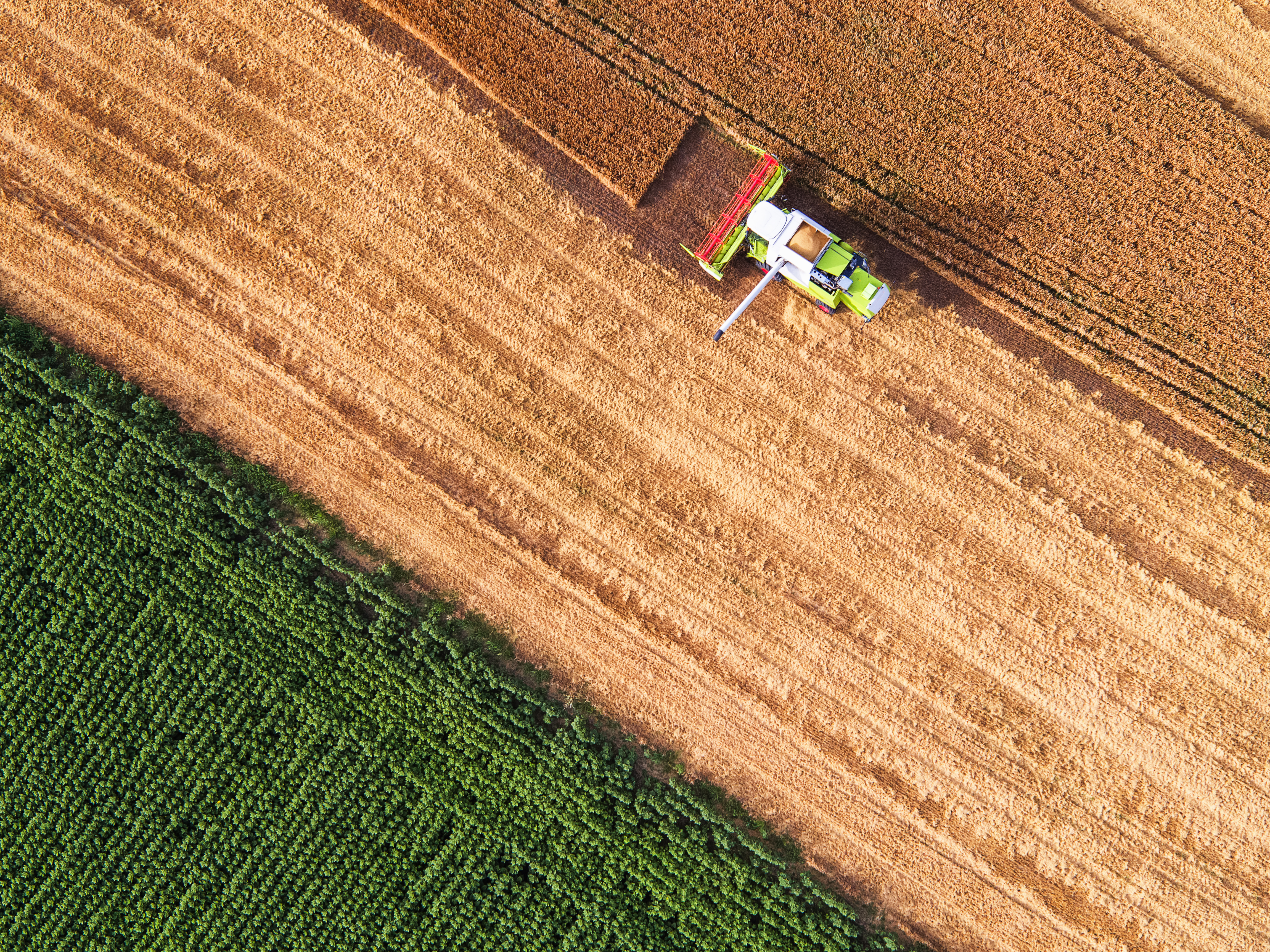 farming